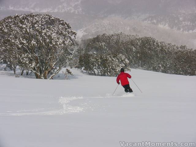 Ray getting untracked freshies