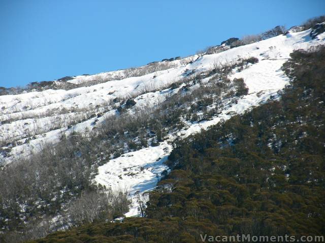 Today's photos of the resort from a non skiers perspective<BR>Starting from left to right with: FunnelWeb