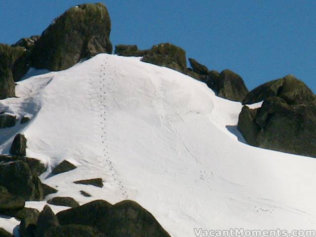 My frozen stepladder to the top of Everest