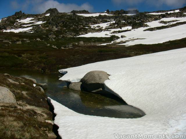 Back out to the snowline today