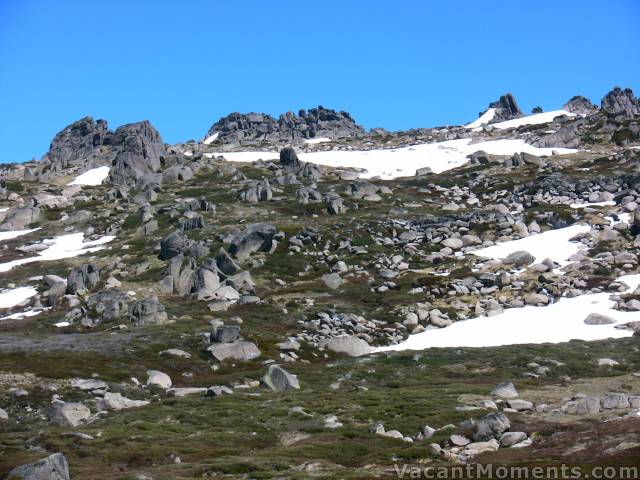 The snow pack is rapidly making way to the weather beaten rocks and alpine vegetation