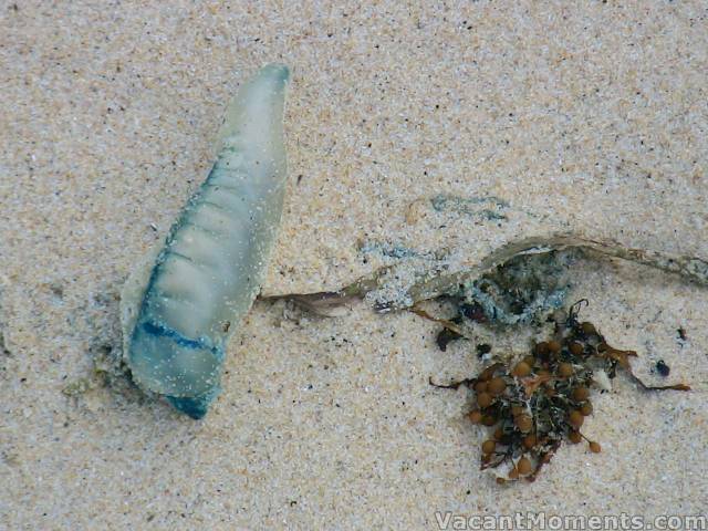 Down on the beach was not the time to hit the bottle