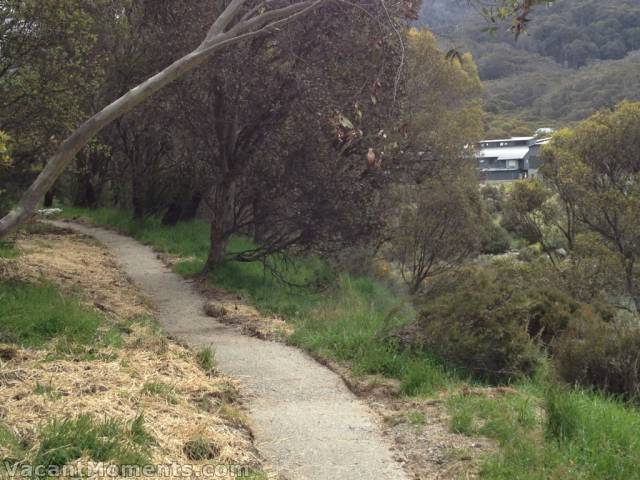 Newly sealed Pipeline Path - photo by Ray