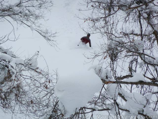 Traktorman enjoying the trees