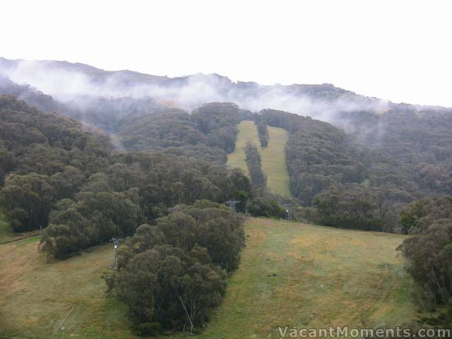 Oh yes, Thredbo is green and misty