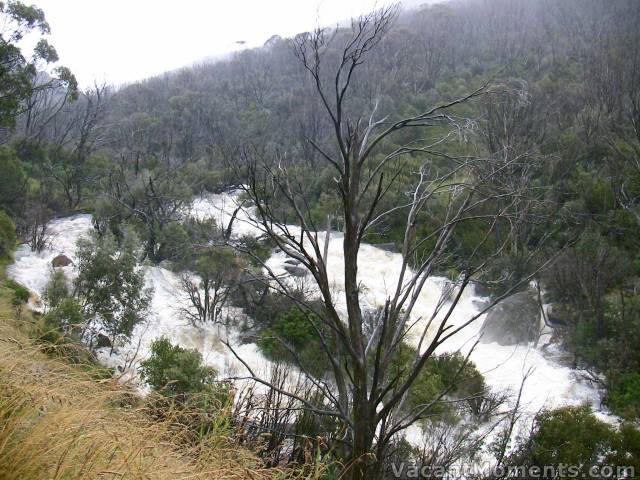 Thredbo River half way up to Dead Horse Gap