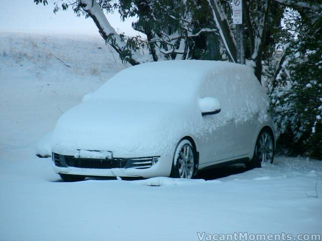 Even parking under the trees was no protection