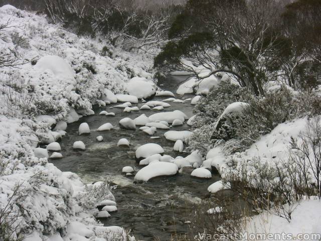 Thredbo River at DHG - Saturday