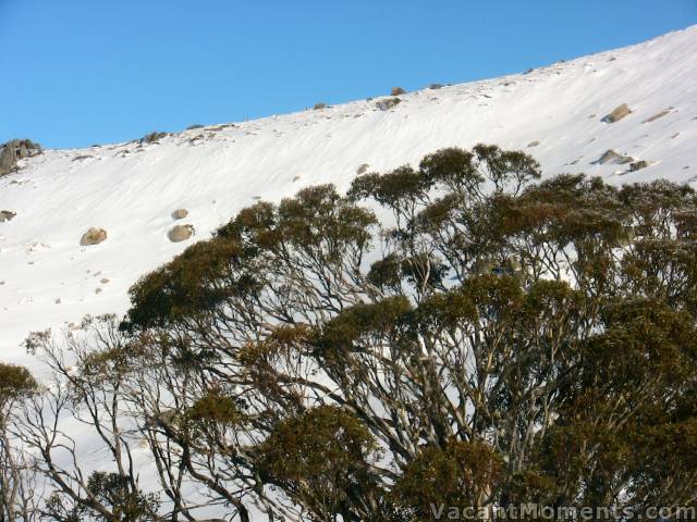 Wiamea with rain scars