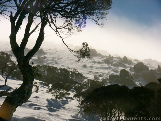 Alpine mist blowing over the range