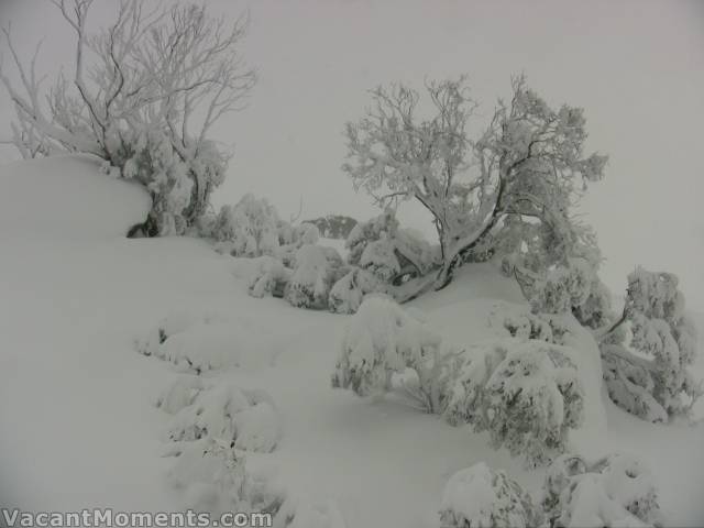 There's certainly been some snow overnight - and it's still falling