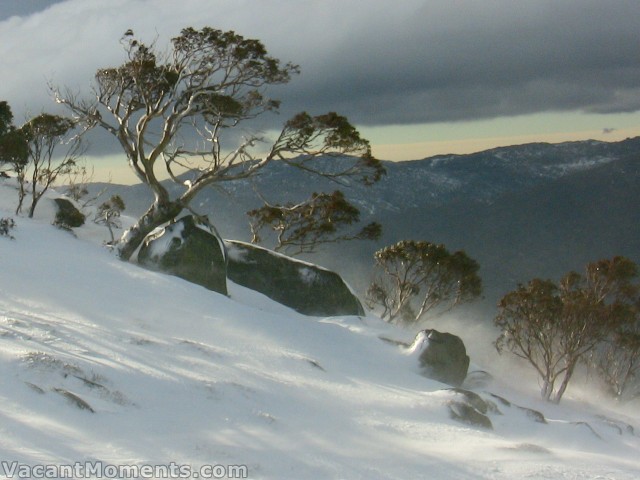 Bottom of the Basin