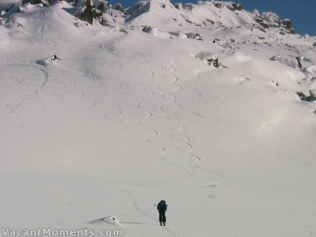 Late update: Lucky Phil tracking it out on Sunday morning at Karels