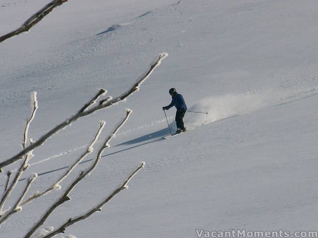 Ray following Lynne's tracks