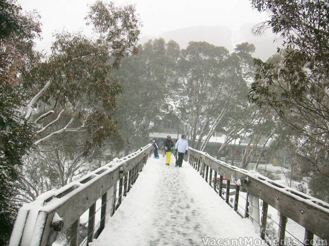 The bridge after midday