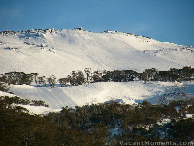 Central Spur this morning - Sunday<BR> Q5 (bottom left) and Exhibition above<BR> you can just see the top of the big jump above the trees