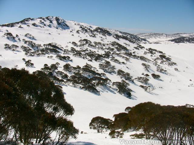 Top of the T-bar looking towards Guthrie's Chutes<BR>Bottom of Poma on far right