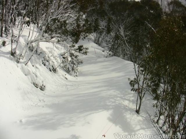 BunnyWalk from Snowgums chair - first thing Saturday morning