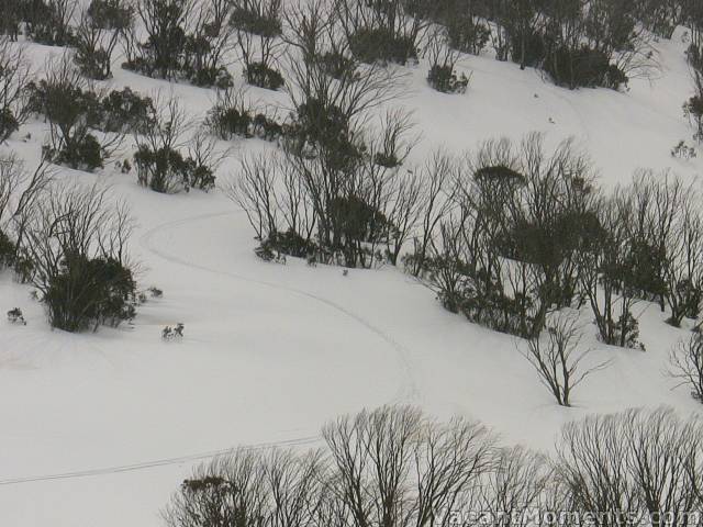 Three turns down the last face of the Gap