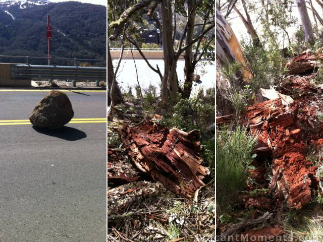 Friday: Acacia (K7Adventures.com.au) found this boulder on the Alpine Way<BR>and the cause - a fallen, termite infested tree