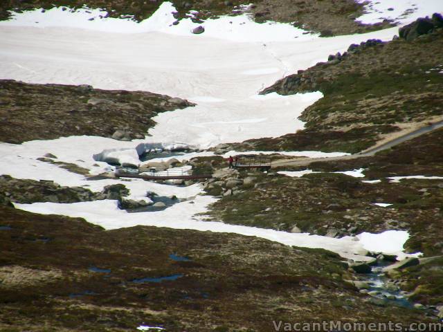 A view of the bridge from the top of the hill