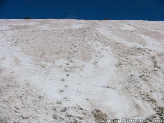 My view up the slope and boot-pack staircase