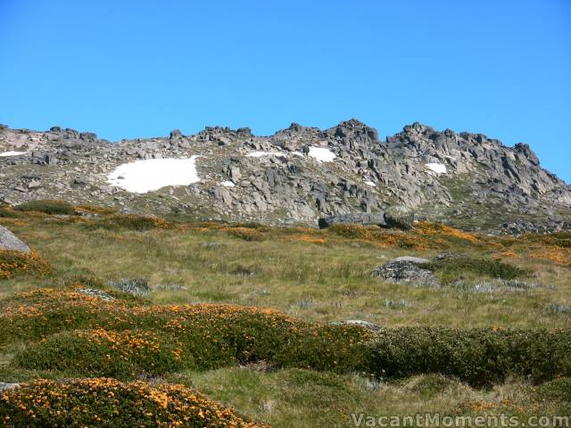 Sig Hill seen across ridgelines of wild flowers