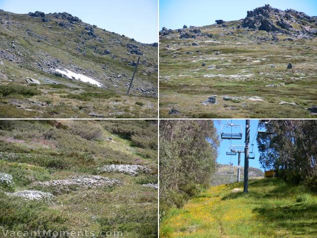 Summer Drift still with a little snow<BR />elsewhere the beds of wildflowers look like snow<BR />and some colour under the chair