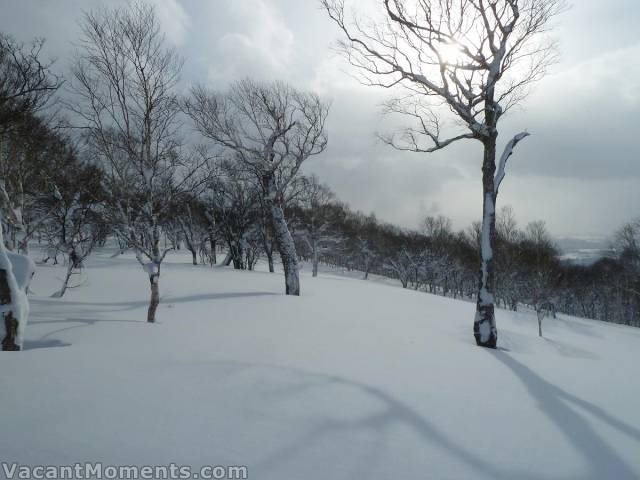 The serenity of untracked glades - photo courtesy of Rosco