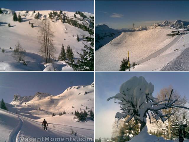 Off piste at La Cascade, Samoens summit, Alan off piste La Cascade, Tree at Les Carroz <BR>Photos courtesy of Marion