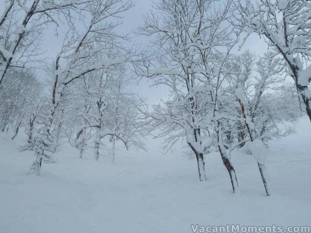 A standard grey day in Japan - photo courtesy of Rosco