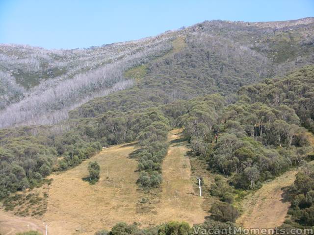 And what's it like in Thredbo? West side of Kosi chair