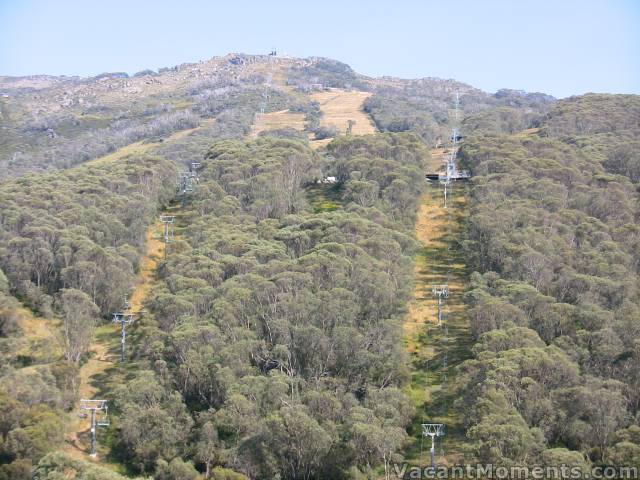 Kosi & Snowgums chairs