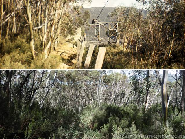 Dropping down into Thredbo Valley (top photo taken in 1975)<BR>Tree growth obscuring the lift line