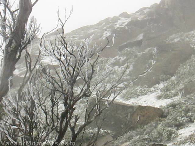 The Bluff this morning (Saturday)