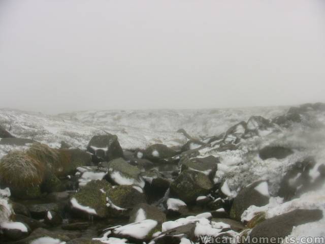 That standard shot of Signature Hill - hidden in the mist