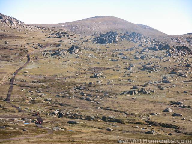 Mt Kosciuszko in centre background and the walking track on the left