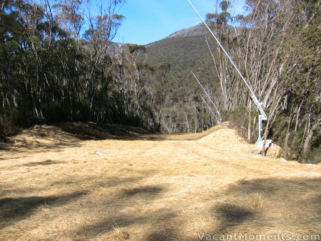 Looking the other way down the new High Noon extension<BR>with snow guns already in place