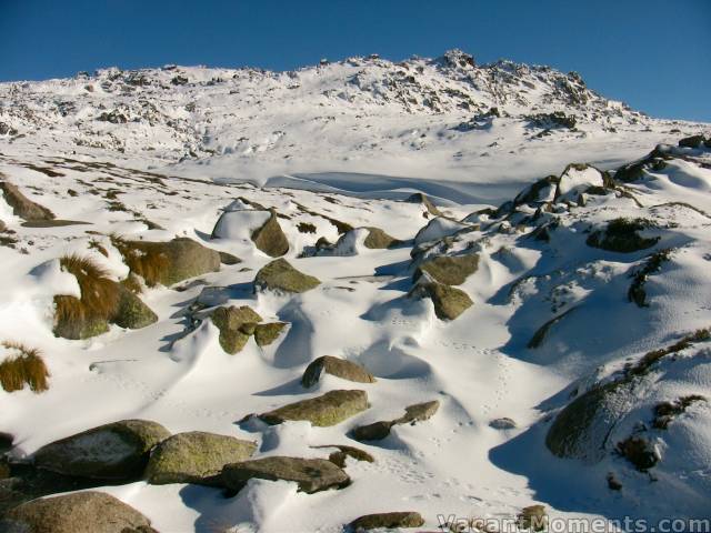 Photo of Sig Hill from the bridge<BR>Note the cornice building mid shot