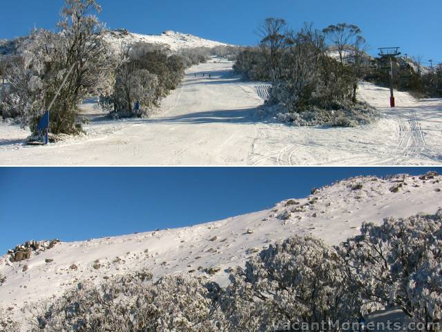 Looking up Walkabout and across to Wiamea