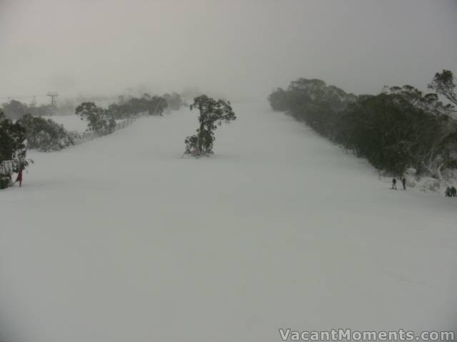 Looking up the Supertrail from above BunnyWalk - early before the crowds