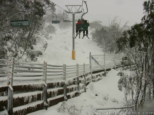 Approaching the Cat Walk on SnowGums