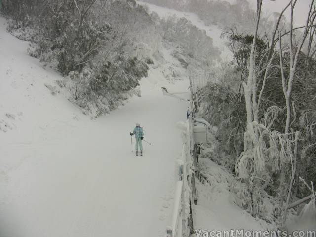 The Village Trail and Cat Walk are open