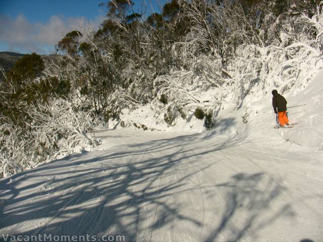 Cat Walk is in very good condition