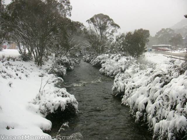 Thredbo River