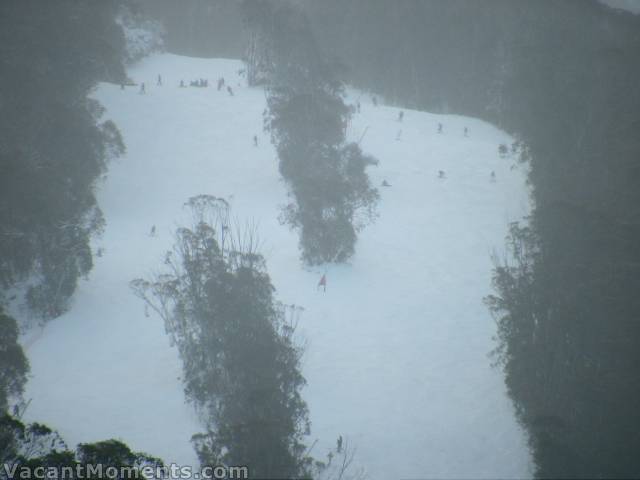 High Noon yesterday afternoon - still snowing lightly