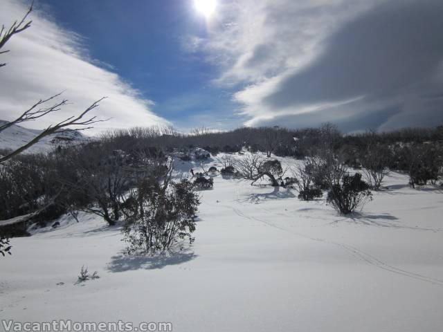 First a photo by Marion of last Saturday's trip to Dead Horse Gap