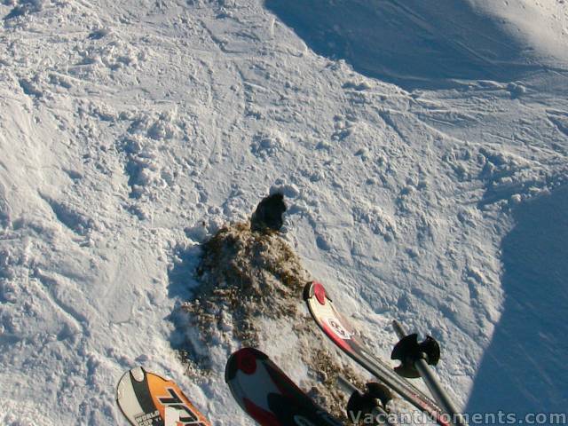 Entrance #2<BR>By Sunday morning there was no trace of the entrances under a fresh layer of snow 