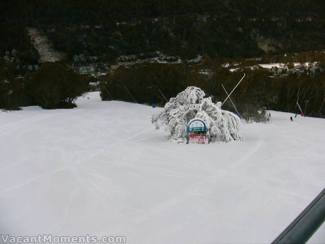 Wednesday: Tonnes of overnight snow making in the Meadows