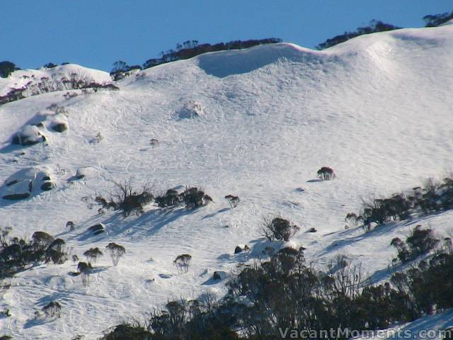 Cornice on The Bluff